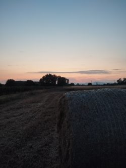 ATARDECER DE VERANO