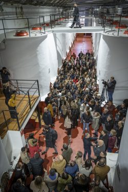 BODEGA DE VINO CON MUSICA