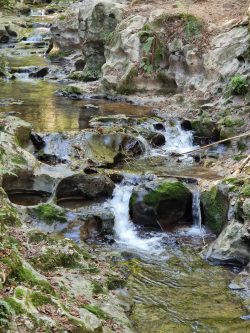 EL AGUA DE LA PAZ