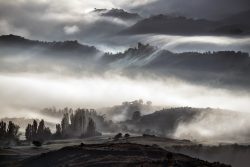 EL ABRAZO DE LA NEBLINA