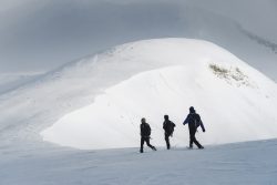 INVIERNO EN EL ORI