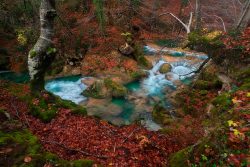 LA INTENSIDAD DEL OTOñO