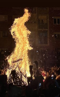 LENGUA DE FUEGO