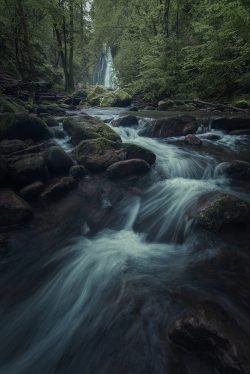 LENGUA DE AGUA