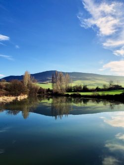 REFLEJOS