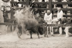 SIN MIEDO EN LOS ARCOS