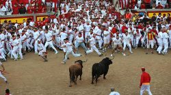 PLAZA DE TOROS