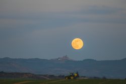 A LA LUZ DE LA LUNA