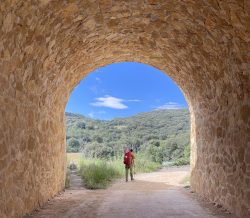 AL FINAL DEL TúNEL