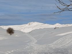 ARALAR NEVADO