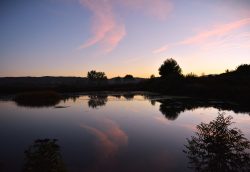 ATARDECER EN LA RIBERA