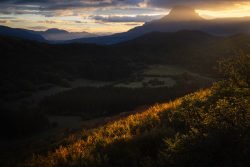 BOSQUE OTOñALES AL AMANECER