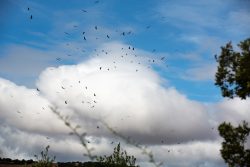 CIELO SOBRE TIERRA