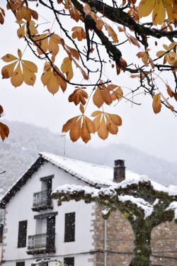 CUANDO EL INVIERNO LLEGA ANTES DE QUE EL OTOñO SE VAYA