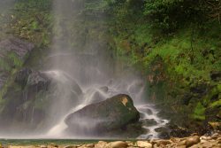 ENTRE ROCAS Y MUSGO