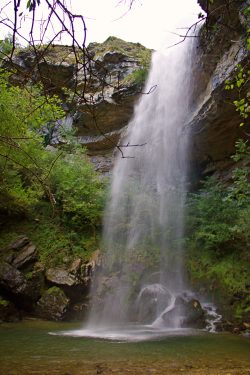 ESPECTáCULO VERTICAL