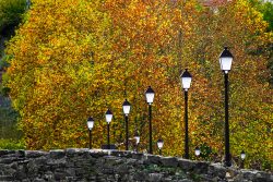 FAROLAS EN EL OTOñO