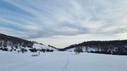 NEVADA EN BASABURUA