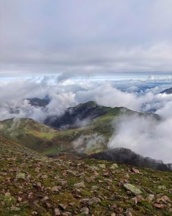 NIEBLA EN EL VALLE