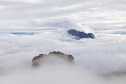 NIEBLA EN LAS ALTURAS