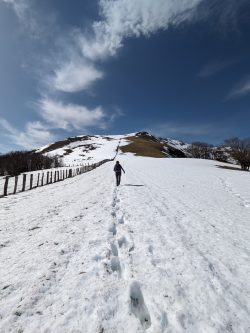 NIEVE