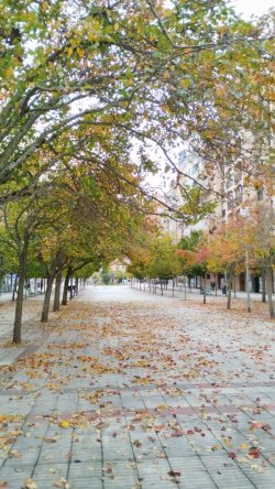 OTOñO EN PAMPLONA