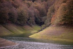 PANTANO DEL IRATI