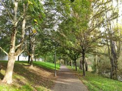 PASEO OTOñAL POR EL ARGA