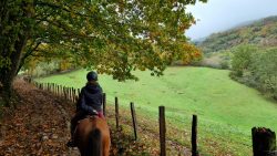 PASEO A CABALLO POR BAZTáN