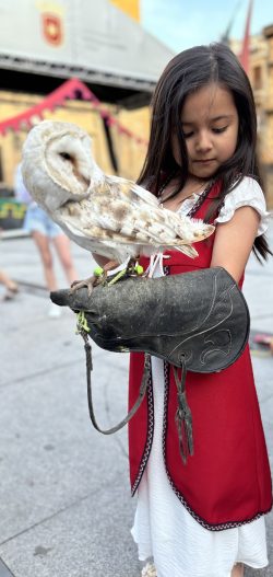 PRINCESA MEDIEVAL Y LECHUZA