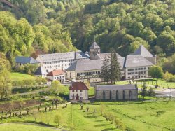 RONCESVALLES EN PRIMAVERA