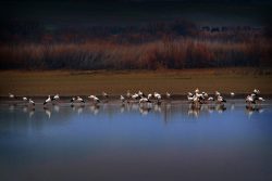 EL EMBALSE