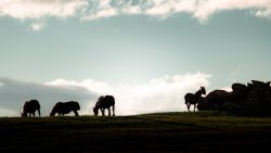AMANECE EN EL VALLE DE ATEZ