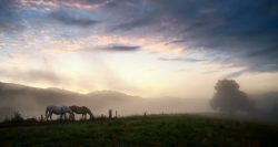 ANDABAMOS SIN BUSCARNOS