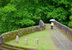 BAJO LA LLUVIA EN BERTIZ