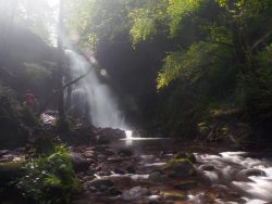 CASCADA DE LUZ