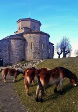 CABALLOS CELESTIALES