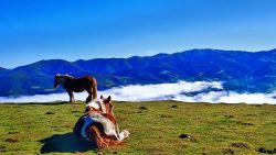 DISFRUTANDO DEL PAISAJE