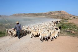 EL CABEZO DE LA MESA