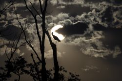 EL GUARDIáN DEL AMANECER