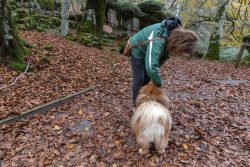 EL OTOñO EN LA PIEL