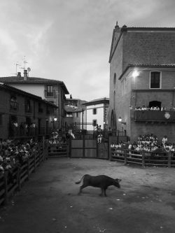 EL RUEDO DE ARTAJONA