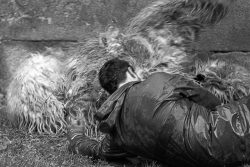 ENTRE LLUVIA Y RUGIDO