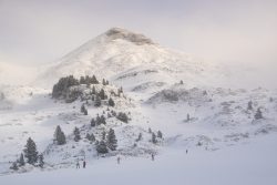 ESQUIANDO EN LA CONTIENDA