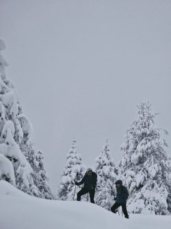 ¿ISLANDIA? NO, RONCESVALLES