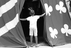 LA CURIOSIDAD MATó AL GATO