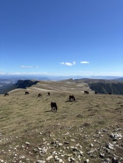 LLANURA DE SAN DONATO