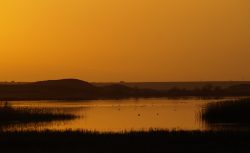 LOS GUARDIANES DEL ATARDECER