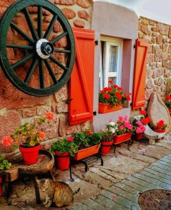 ME PARECIó VER UN LINDO GATITO