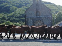 PAISAJES Y PATRIMONIO